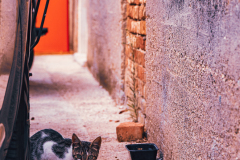 Croatia-7